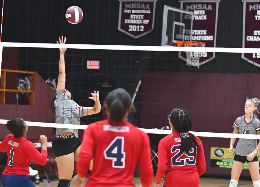Lady Lions begin playoffs